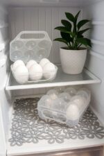 جا تخم مرغی 6 عددی شفاف پلاستیکی