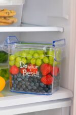 باکس یخچالی مربع دربدار مدل داته